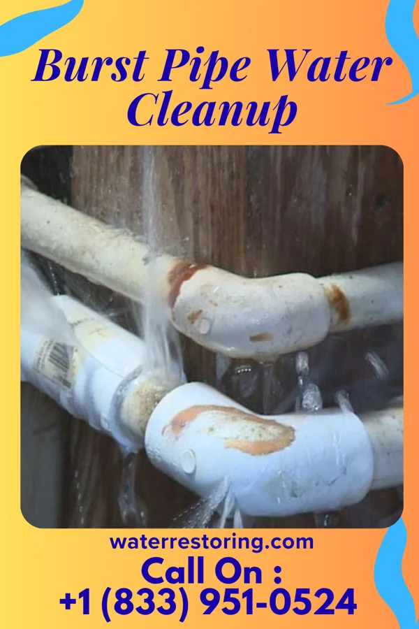 Burst Pipe Water Cleanup in Olar, SC