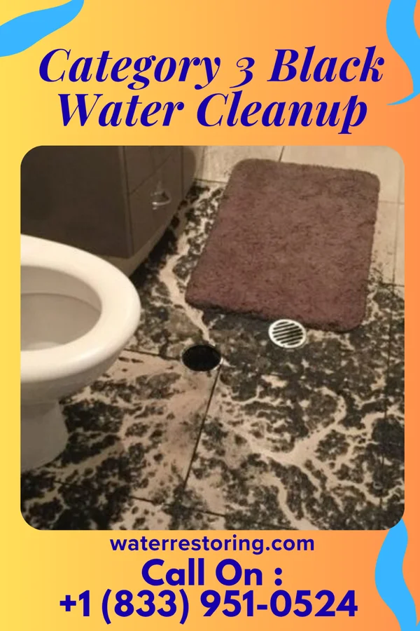 Category 3 Black Water Cleanup in Olar, SC