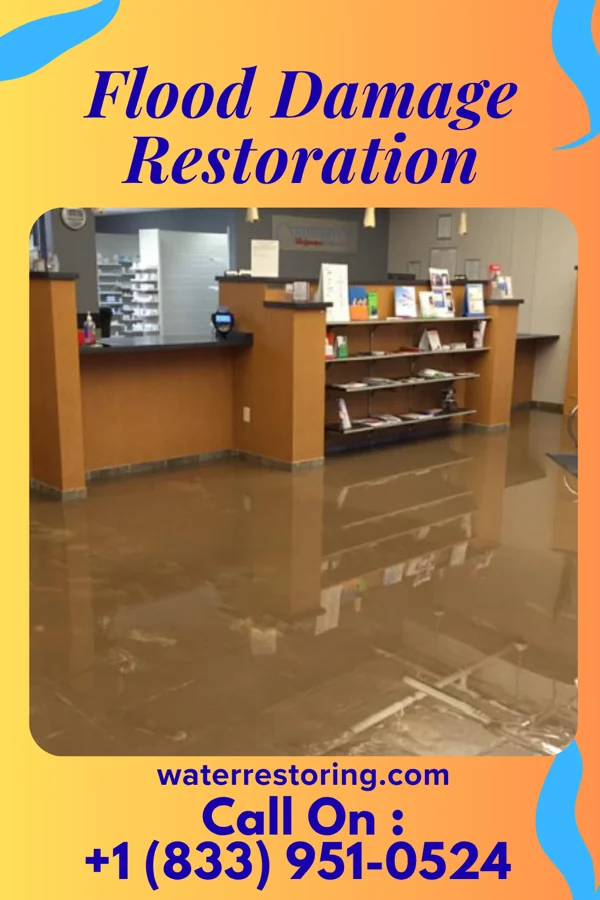 Flood Damage Restoration in Olar, SC