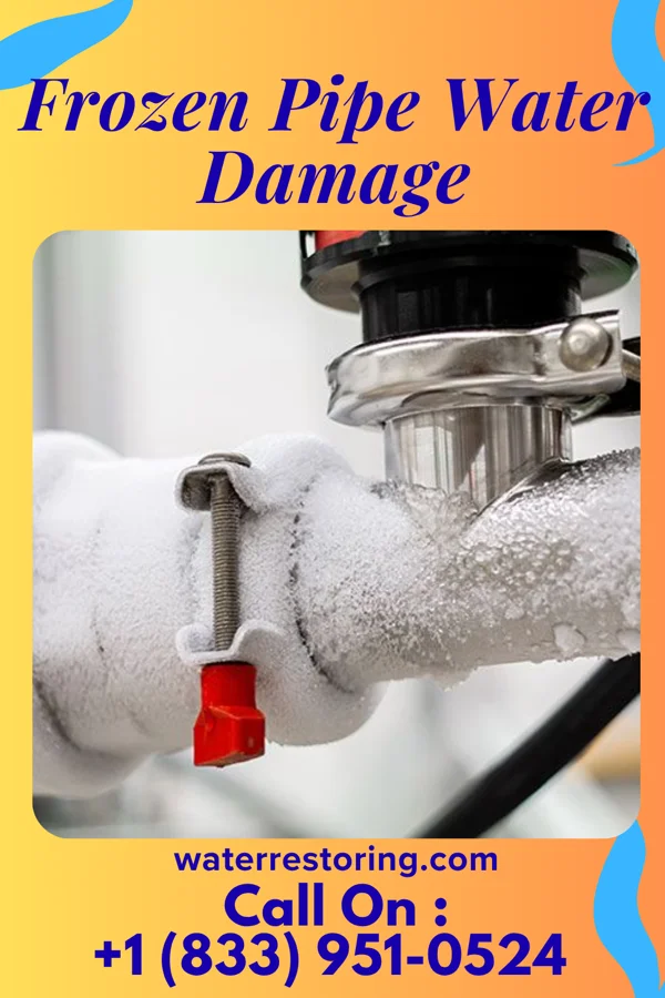 Frozen Pipe Water Damage in Olar, SC