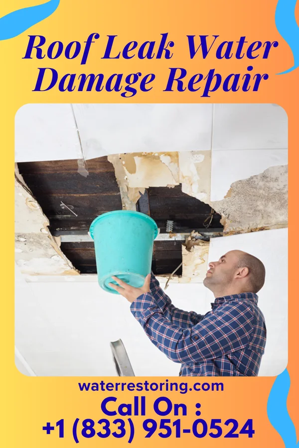 Roof Leak Water Damage Repair in Olar, SC