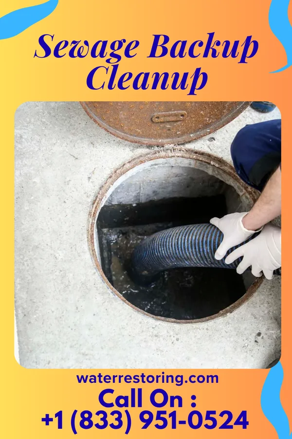 Sewage Backup Cleanup in Olar, SC