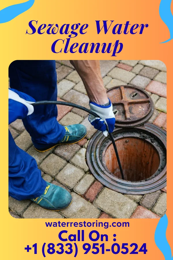 Sewage Water Cleanup in Olar, SC