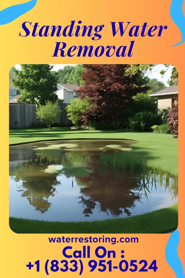 Standing Water Removal in Olar, SC
